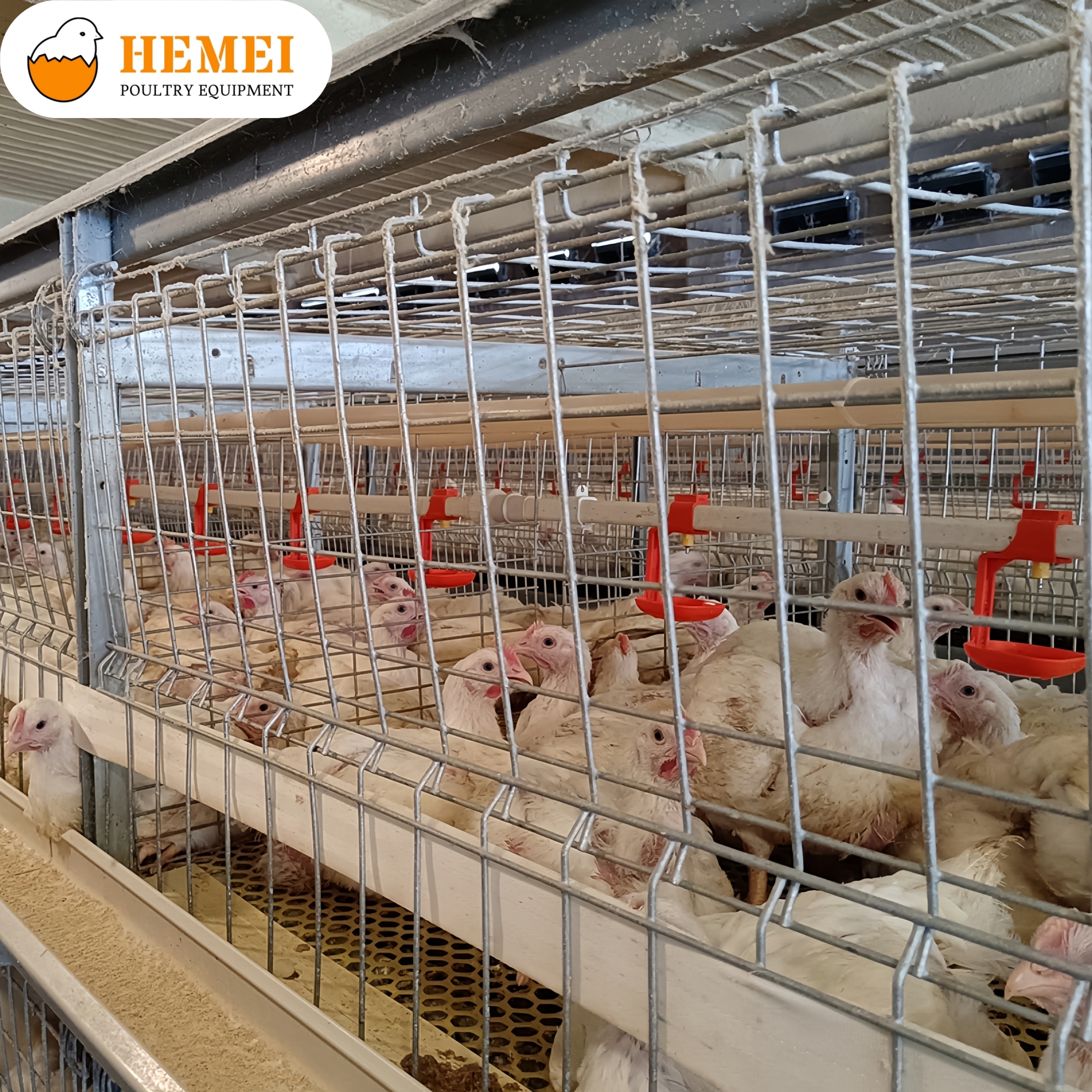 H Type Multi Tiers Manual Harvesting Broiler Cage Equipment